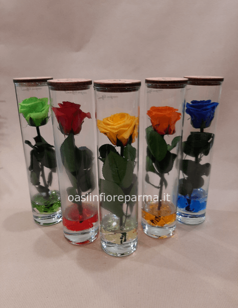 Rose stabilizzata in vetro » Fiorista a Parma. Acquista online fiori e  piante per invio e consegna a domicilio a Parma.